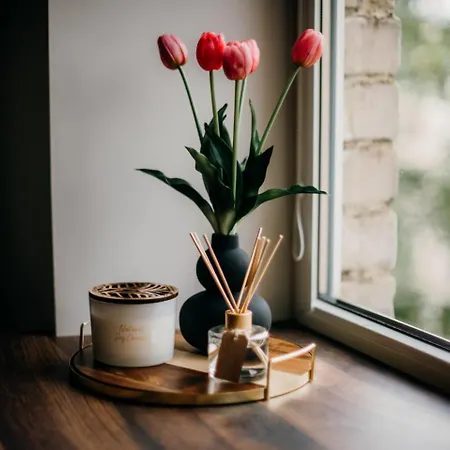Cozy In Center Apartment *